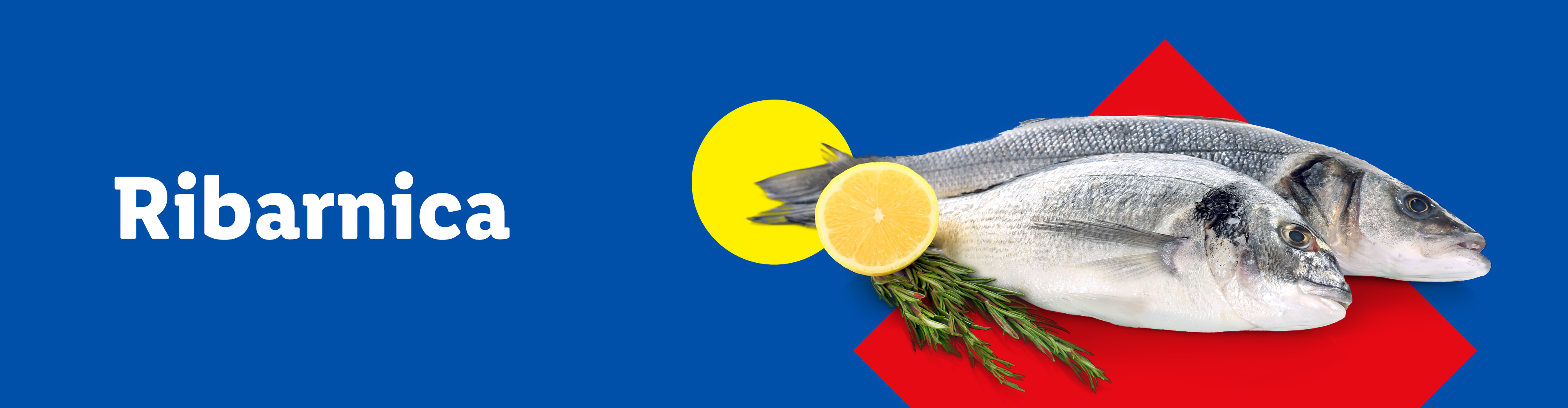 Dve sveži ribi na rdečem ozadju z limonino rezino in rožmarinom. Ribarnica.
