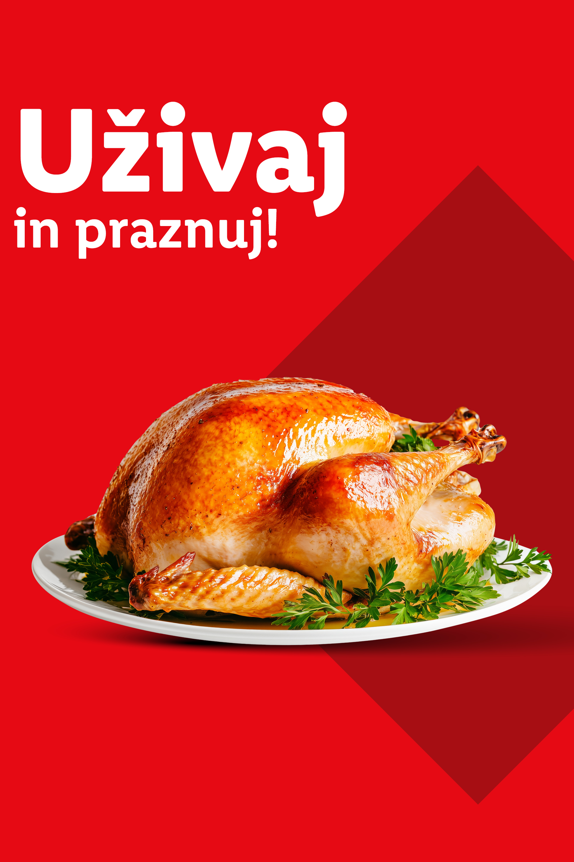Pečen puran na beli plošči z zelenjem in napisom 'Uživaj in praznuj!' na rdečem ozadju.