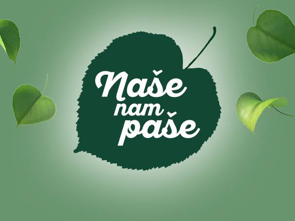 Naše nam paše